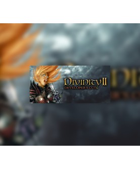 Divinity II: Developer s Cut GOG.com Key GLOBAL